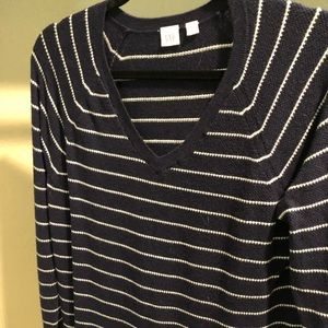 GAP Blue Striped Sweater